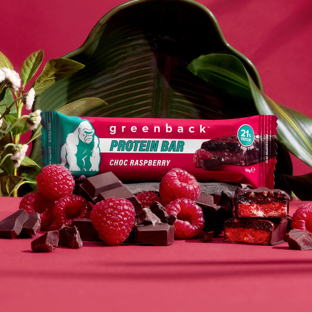 Choc Raspberry (12 Pack)