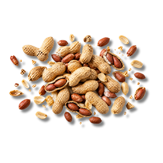 Peanuts