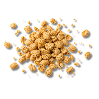 Soy Protein Crisps